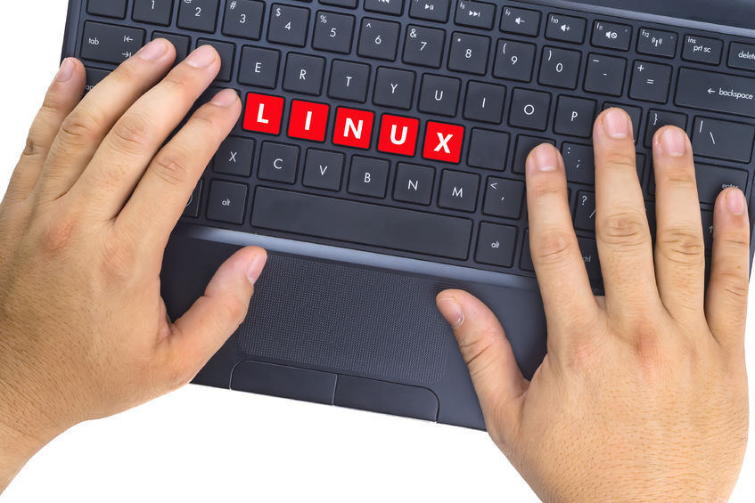Linux Manjaro vs Linux Mint